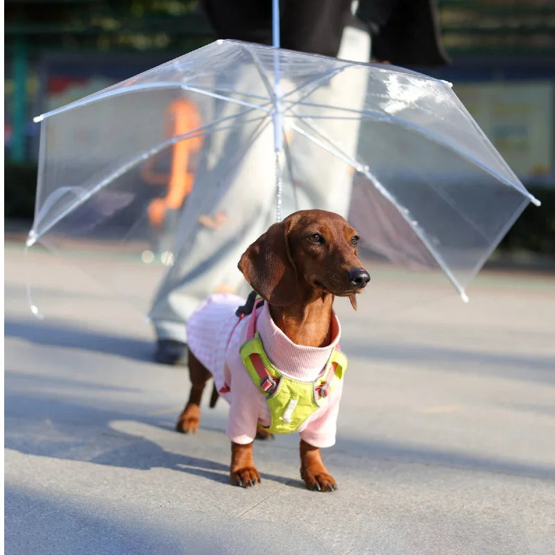 K9cover-Dog Umbrella