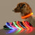 PoochDazzle - Reflective Dog Collar