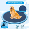 Jetjow- Dog Swimming Pool